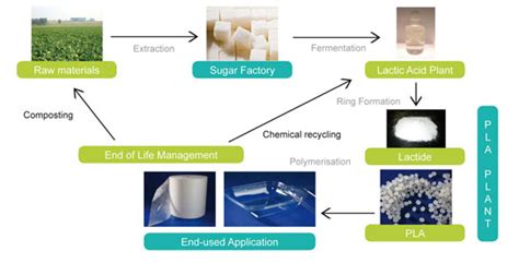 Polylactic Acid: Revolutionizing the World Through Sustainable Bioplastics!