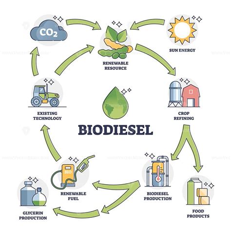 Rapeseed: Unlocking Industrial Potential through Biodiesel Production and Animal Feed Innovation!